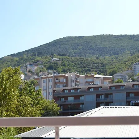 Balam Bursa
