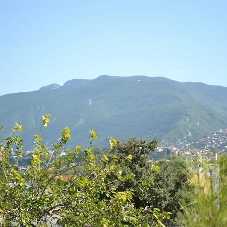 Balam Bursa